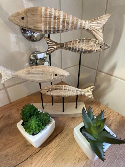 Apartmán Piccolo Nido Rovinj Exteriér fotografie
